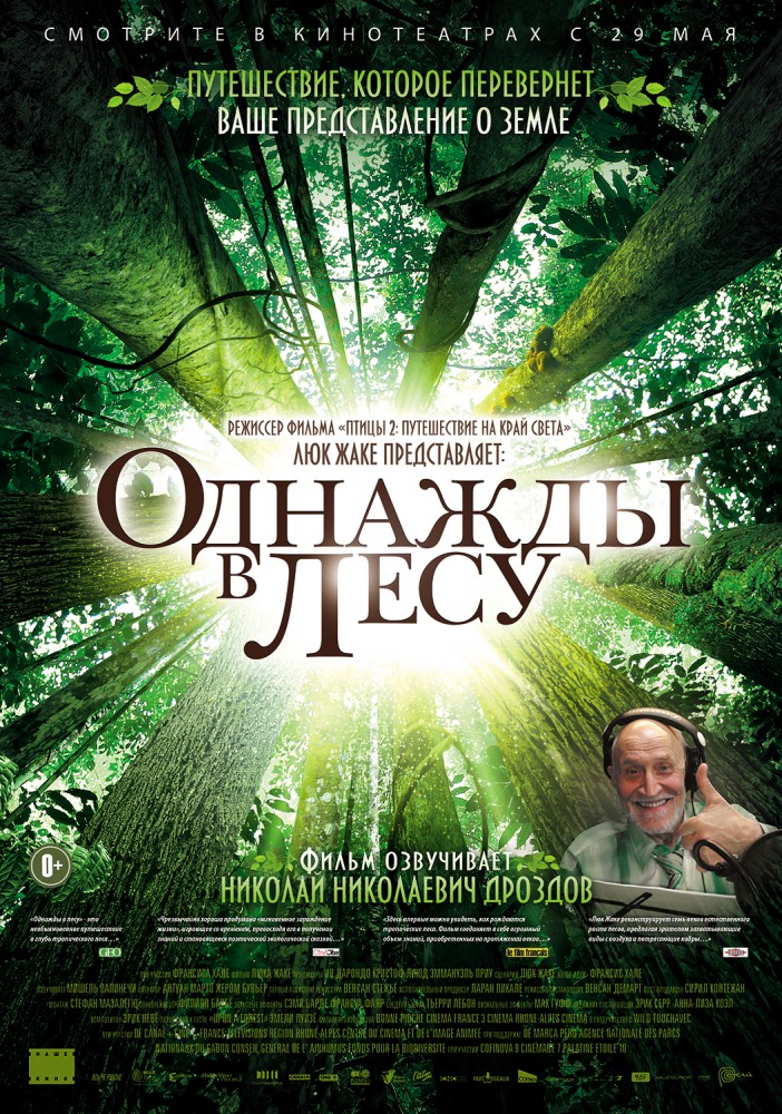 Однажды в лесу / Once in the Forest (2014)