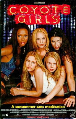 Бар «Гадкий койот» / Coyote Ugly (2000)