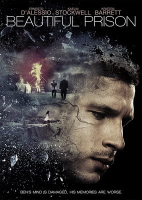 Контроль разума / Beautiful Prison (2014)