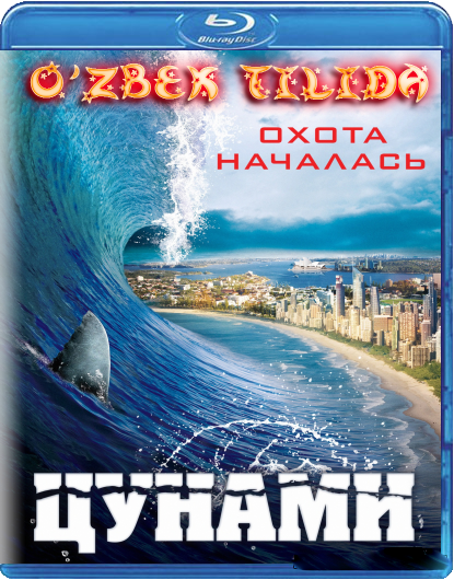 Цунами 3D/Sunami 3D (O'zbek Tilida)2012