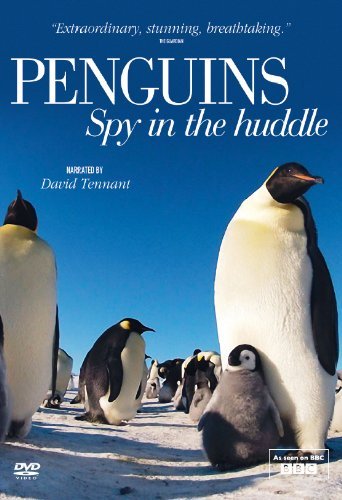 Пингвин: Шпион под прикрытием / Penguins - Spy In The Huddle (2013) English