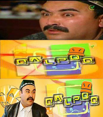 QALPOQ NEW 2013